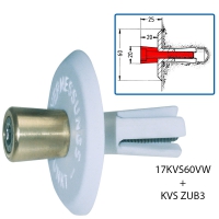 PA survey marks as wall bolts